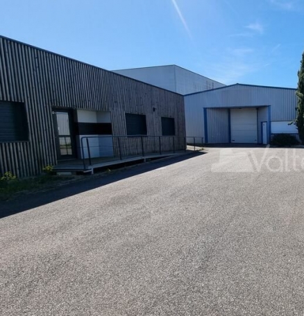 Photo 1 – vente locaux d'activités	MONDOUZIL (31850)